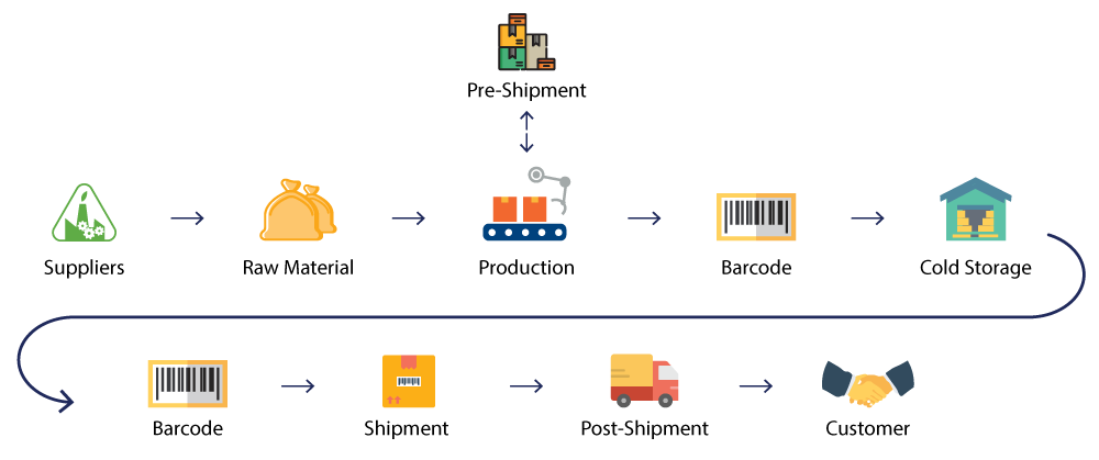 iNemo ERP Solutions